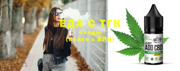 индика Алзамай