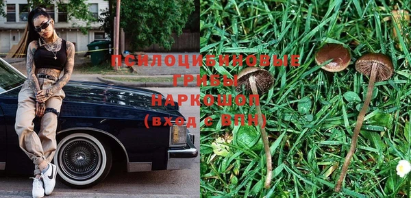 индика Алзамай