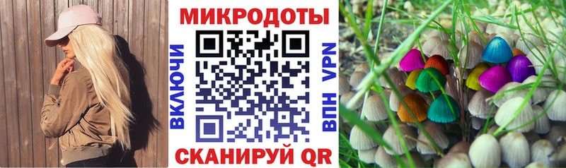 купить закладку Тарко-Сале Псилоцибиновые грибы Cubensis